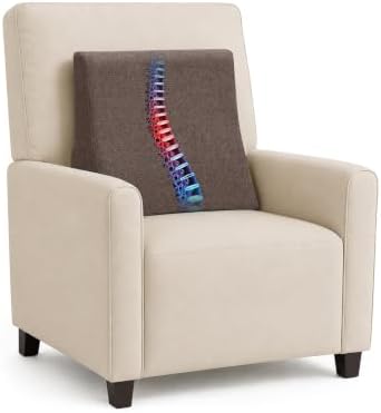 Vekkia Lumbar Support Pillow for Sofa by Vekkia