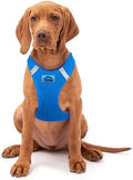 Doggie Design Dog Harness by DoggieDesign