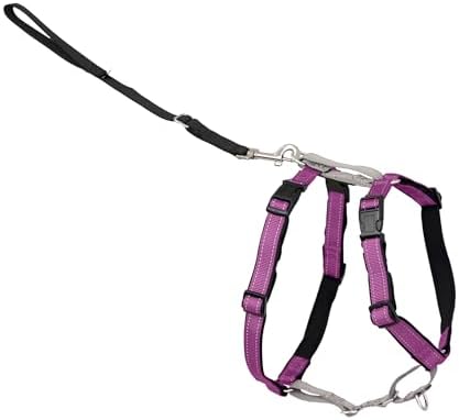 PetSafe Easy Walk 3 in 1 No Pull Dog Harness, Plum Purple by PetSafe