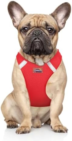 Doggie Design Dog Harness by DoggieDesign