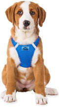Doggie Design Dog Harness by DoggieDesign