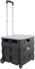 dbest Products Quik Cart Standard Collapsible Rolling Crate by dbestproductsInc