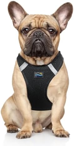 Doggie Design Dog Harness by DoggieDesign