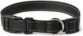 Amazon Basics Reflective Polyester Dog Collar, Adjustable Length 21"-37" by AmazonBasics