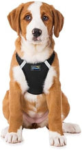 Doggie Design Dog Harness by DoggieDesign