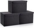 Bagnizer Large 17" 42 Quarts Collapsible Stackable Storage Bins by Bagnizer