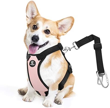 VavoPaw Dog Seat Belt Vest Harness by VavoPaw