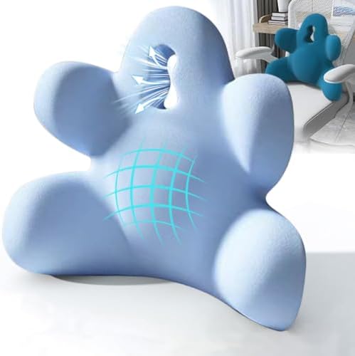 Lumbar Support Pillow for Office Chair, Back Support Pillow for Car by Sothuba