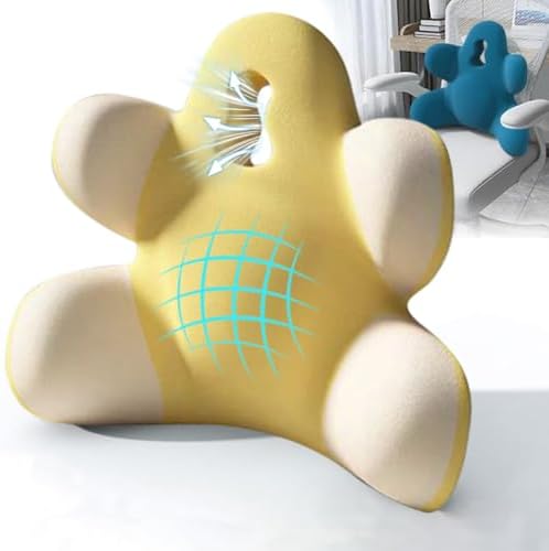 Lumbar Support Pillow for Office Chair, Back Support Pillow for Car by Sothuba