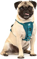 Kurgo Enhanced Strength Tru-Fit Smart Harness, Ink Blue, Extra Small by Kurgo
