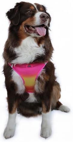 Doggie Design Dog Harness by DoggieDesign