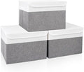 Bagnizer Large 17" 42 Quarts Collapsible Stackable Storage Bins by Bagnizer