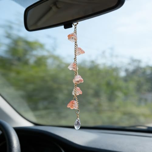 CASONA Car Rearview Mirror Hanging Decor by AestheticsAccessories
