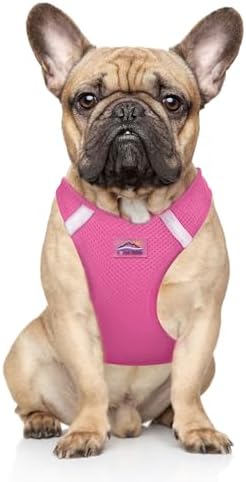 DOGGIE DESIGN Dog Harness by DoggieDesign