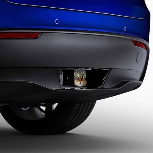 Trailer Hitch Cover 2 Inch Cat, Funny Kitten Cat Portrait Green Eyes Heavy-Duty - Image 4