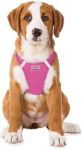 Doggie Design Dog Harness by DoggieDesign