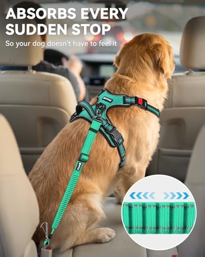 Joytale 3-in-1 Bungee Dog Seat Belt - Image 3