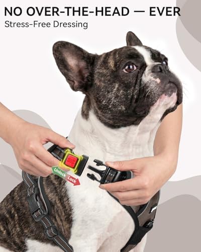 Joytale No Pull Dog Harness & Seat Belt, Easy On 3-Buckle - Image 2