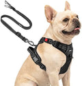 Joytale No Pull Dog Harness & Seat Belt, Easy On 3-Buckle by Joytale
