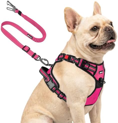 Joytale No Pull Dog Harness & Seat Belt, Easy On 3-Buckle, Hot Pink by Joytale