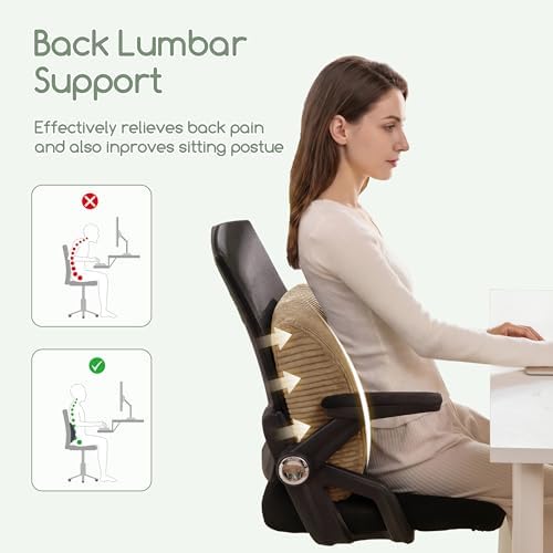 HIGOGOGO Lumbar Support Pillow for Recliner Chair/Accent Chair/Couch, Large - Image 5