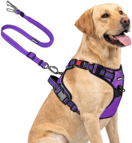 Joytale No Pull Dog Harness & Seat Belt, Easy On 3-Buckle by Joytale