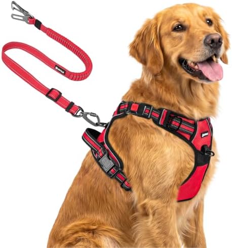 Joytale No Pull Dog Harness & Seat Belt, Easy On 3-Buckle by Joytale