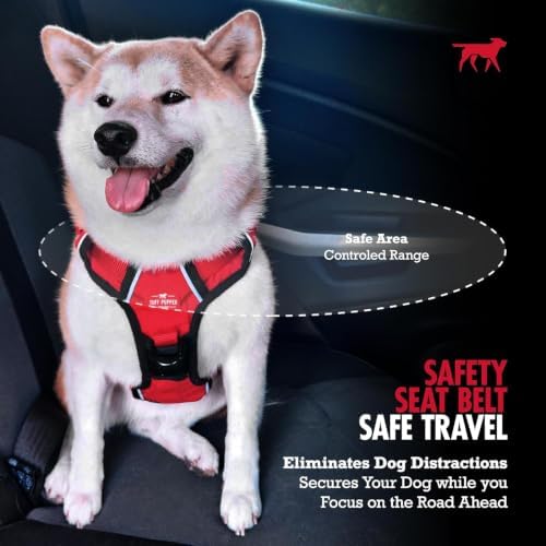 Tuff Pupper Chew-Proof Steel Dog Seat Belt - Image 7