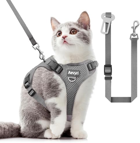 Cat Harness and Leash Set for Walking Escape Proof, Adjustable Soft Kittens Vest by Unknown