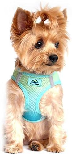 American River Dog Harness Ombre Collection by DoggieDesign