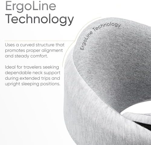 Proglobe Luxe Memory Foam Travel Pillow, Organic Cotton Cover, Light Gray - Image 3