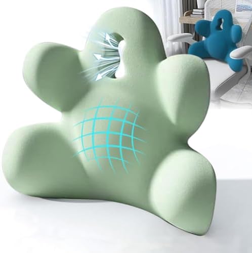 Lumbar Support Pillow for Office Chair, Back Support Pillow for Car by Sothuba