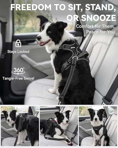 Joytale 3-in-1 Bungee Dog Seat Belt - Image 5
