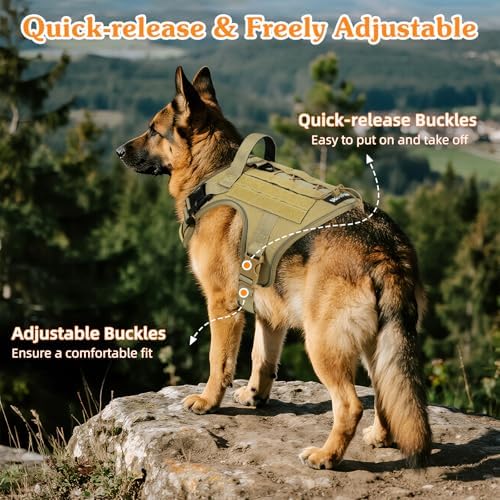 VavoPaw Heavy Duty Tactical Dog Harness - Image 4