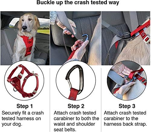 Kurgo Enhanced Strength Tru-Fit Smart Harness, Extra Small - Image 4