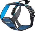 CarSafe Crash Tested Dog Safety Harness | Size M by Halti