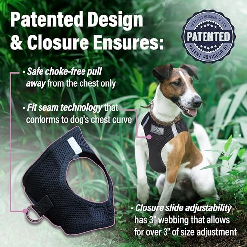 Doggie Design Dog Harness - Image 3