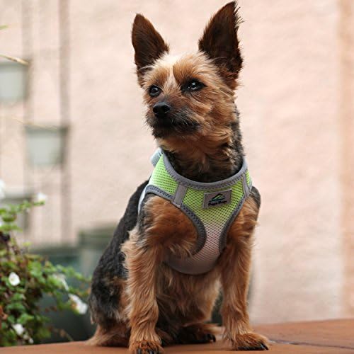 DOGGIE DESIGN American River Dog Harness Ombre Collection - Image 5