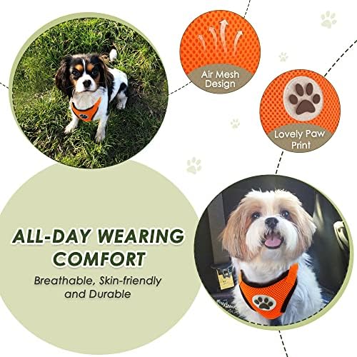 Lukovee Dog Car Harness Seat Belt, Harness & Seatbelt - Image 3