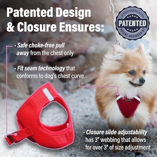Doggie Design Dog Harness - Image 3