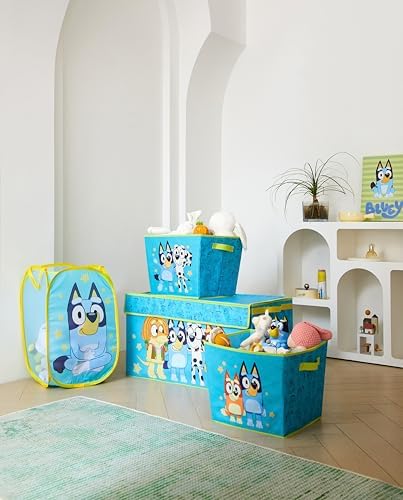 Bluey 4 Piece Storage Solution Set by IdeaNuovaCharacterShop