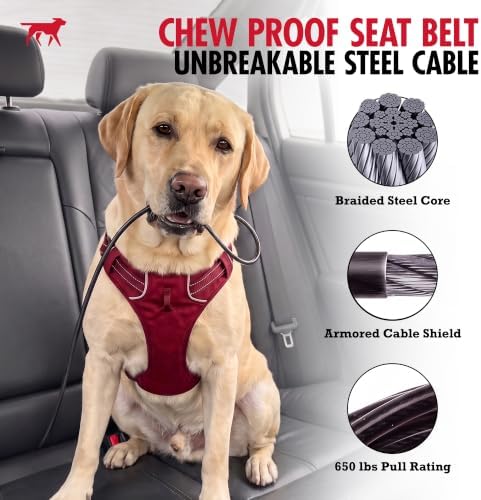 Tuff Pupper Chew-Proof Steel Dog Seat Belt - Image 2