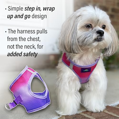 Doggie Design Dog Harness - Image 3
