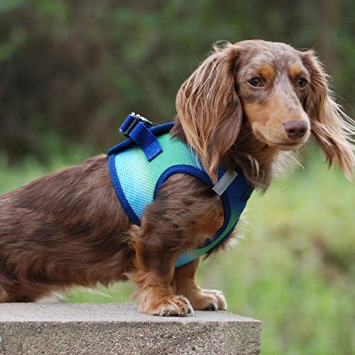 DOGGIE DESIGN American River Dog Harness Ombre Collection - Image 3