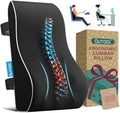 Lumbar Support Pillow for Office Chair, Office Home Essentials, Gifts for Mom by QUTOOL