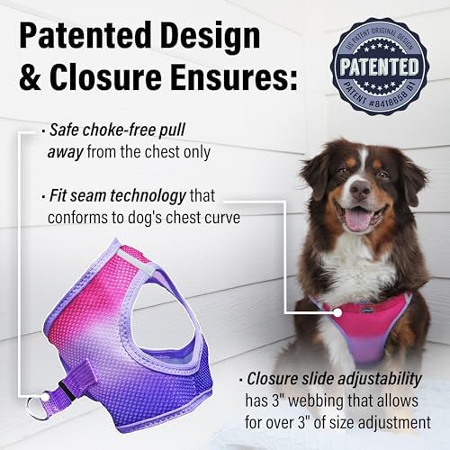 Doggie Design Dog Harness - Image 4