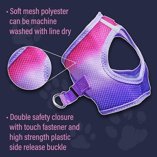 American River Choke-Free Dog Harness - Image 5