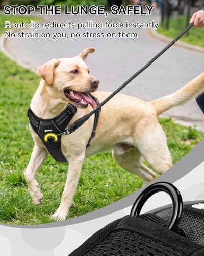Joytale No Pull Dog Harness & Seat Belt, Easy On 3-Buckle - Image 4
