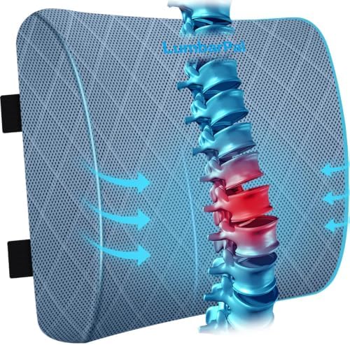 Lumbar Support Pillow for Office Chair, Back Support, Memory Foam by LumbarPal