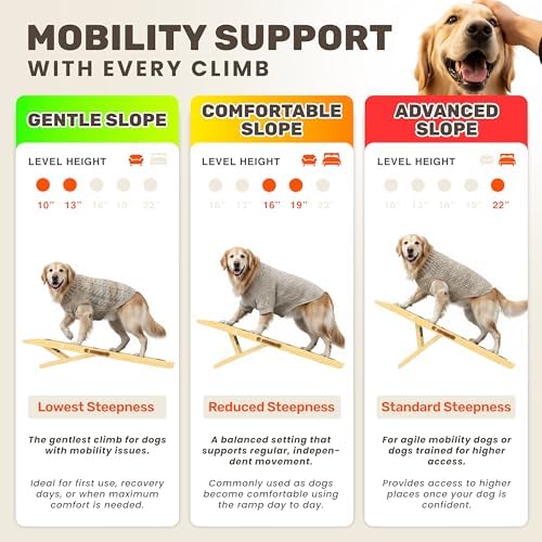 Foldable Dog Ramp for Couch - Image 3